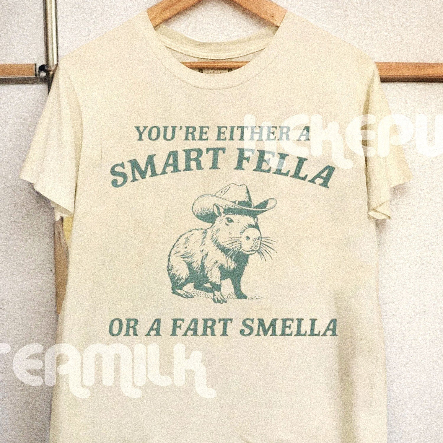 Limited Are You A Smart Fella Or Fart Smella Unisex Softstyle T-Shirt, Cabybara Vintage 90s Poster Graphic tee